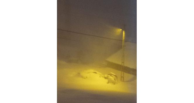 Posof’ta tipi hayatı olumsuz etkiliyor