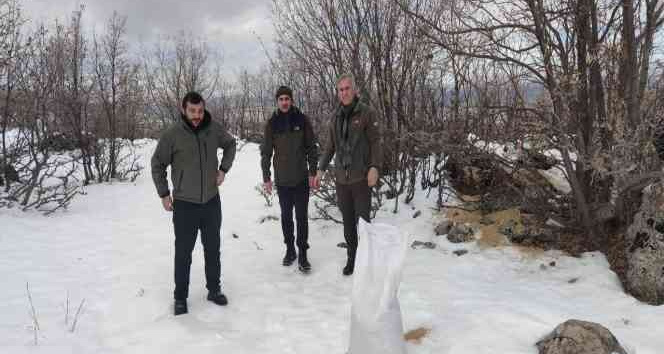 Bingöl’de  yaban hayvanları için doğaya yem bırakıldı