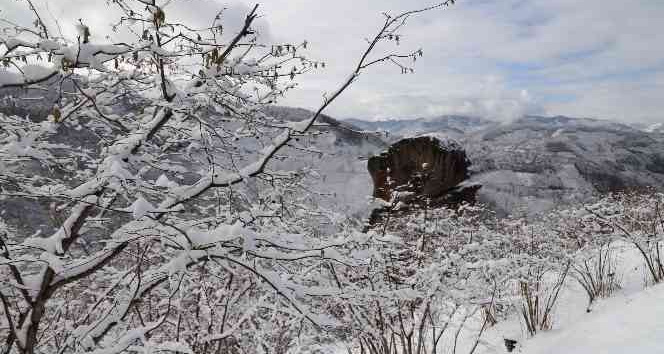 FİSKOBİRLİK’ten fındık üreticilerine zirai don uyarısı