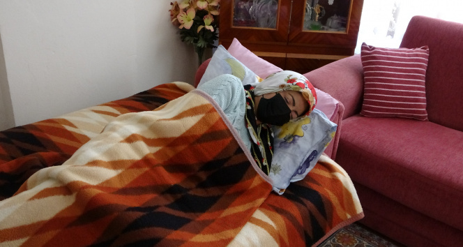 Antalyada 2 pitbullun saldırısına uğrayarak ölümden dönen kadın: Gitti geldi tekrar ısırdı