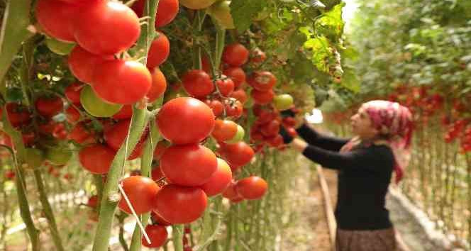Burdur’da yayla seracılığında Türkiye birinciliği hedefi