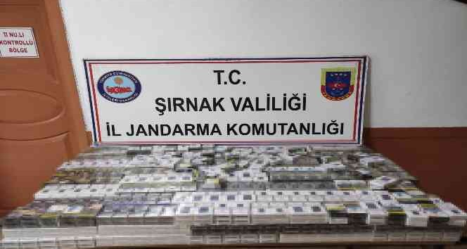 Şırnak’ta kaçakçılık operasyon: 81 gözaltı