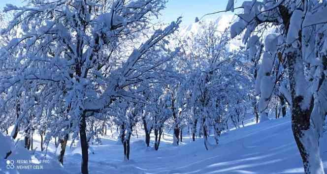 Meteorolojiden Batman ve çevre ileri için kar uyarısı geldi