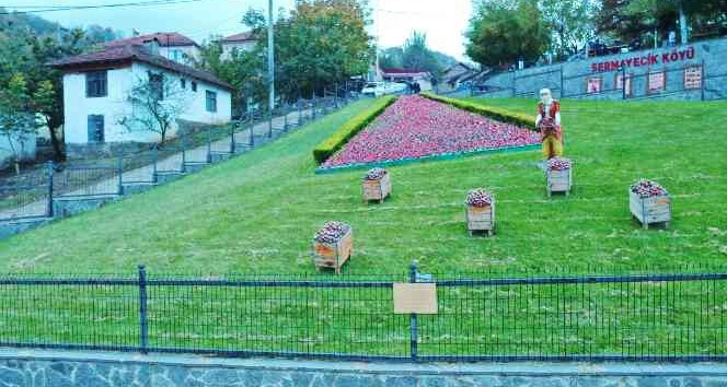 Elit mekanların gözde çileği bu yıl 550 ton üretildi