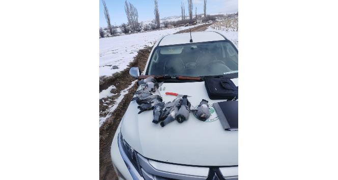 Kaçak avcılar, avlandı