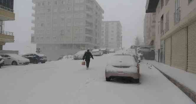 Mardin beyaza büründü