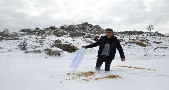 Gazeteciler Cemiyeti yaban hayvanlarını unutmadı, doğaya yem bıraktı