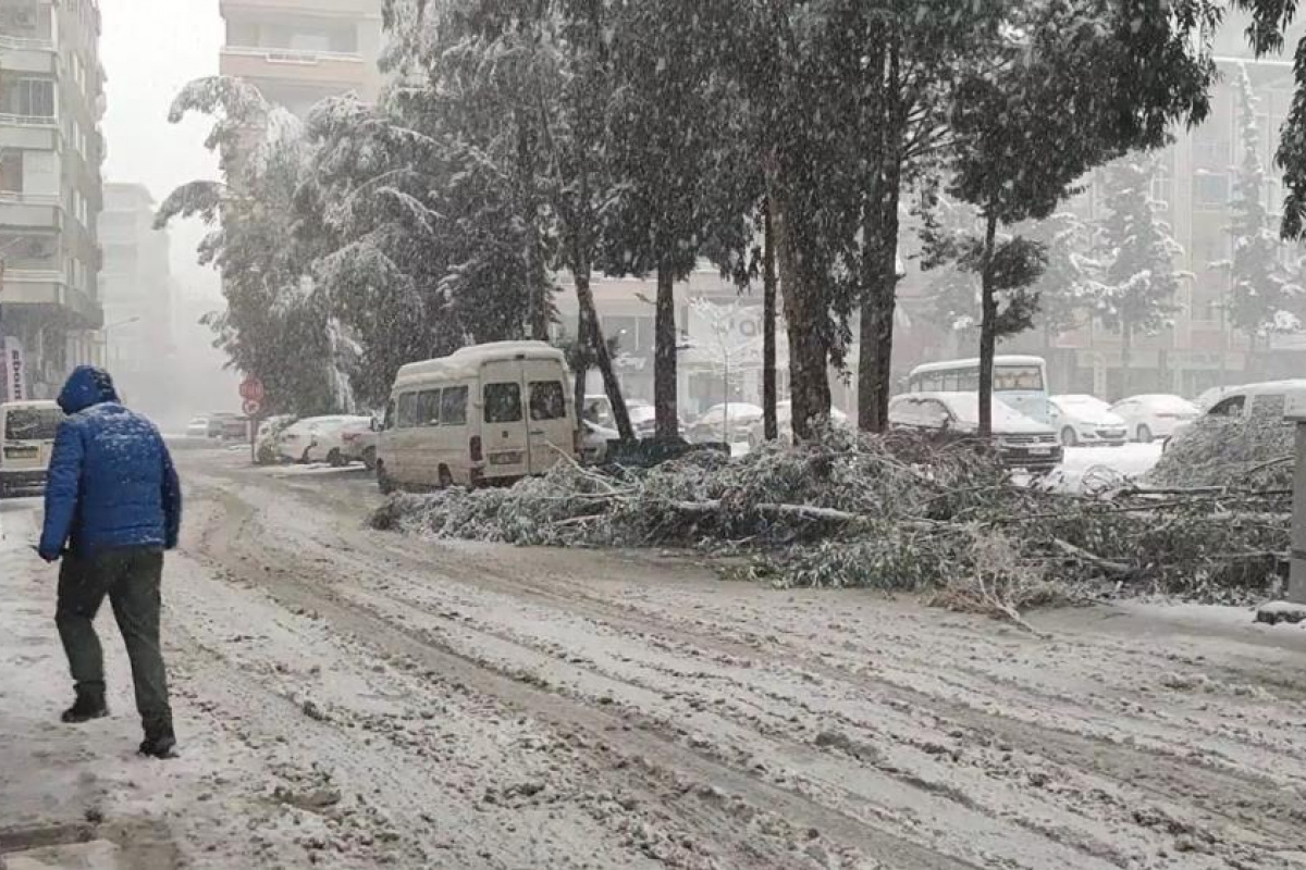 Gaziantep'te kardan çatılar çöktü, ağaçlar kırıldı