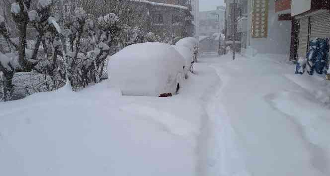 Kulp’ta kar kalınlığı 70 santimetreyi buldu