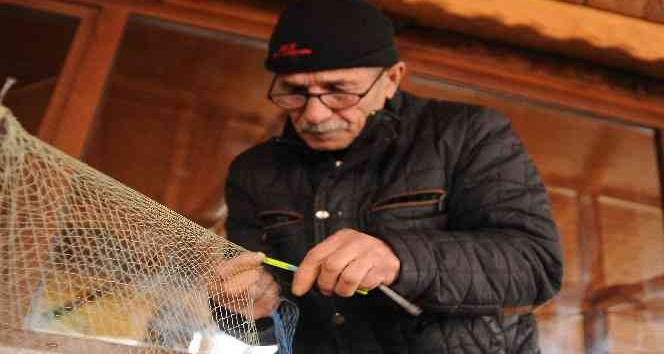 Balıkçılar yunusların ağlara verdiği yaraları sarıyor