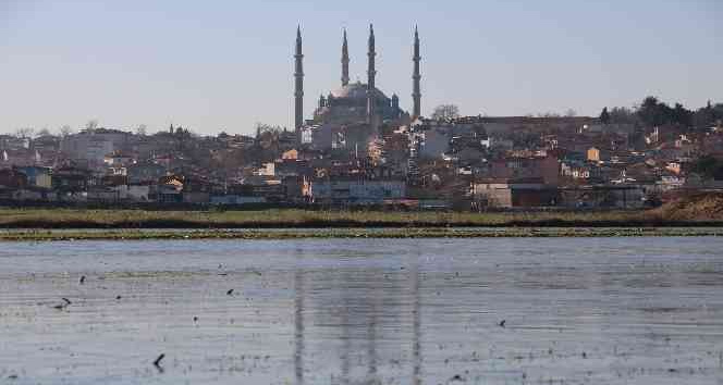 Edirne’de suyla kaplı tarlalar buz tuttu