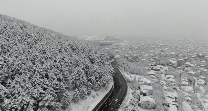 İstanbulda etkili olan kar yağışıyla Aydos Ormanı beyaza büründü