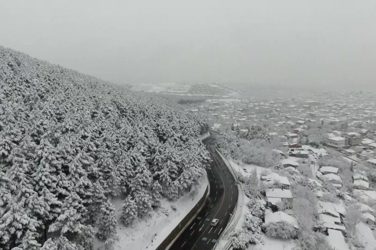 İstanbul'da etkili olan kar yağışıyla Aydos Ormanı beyaza büründü