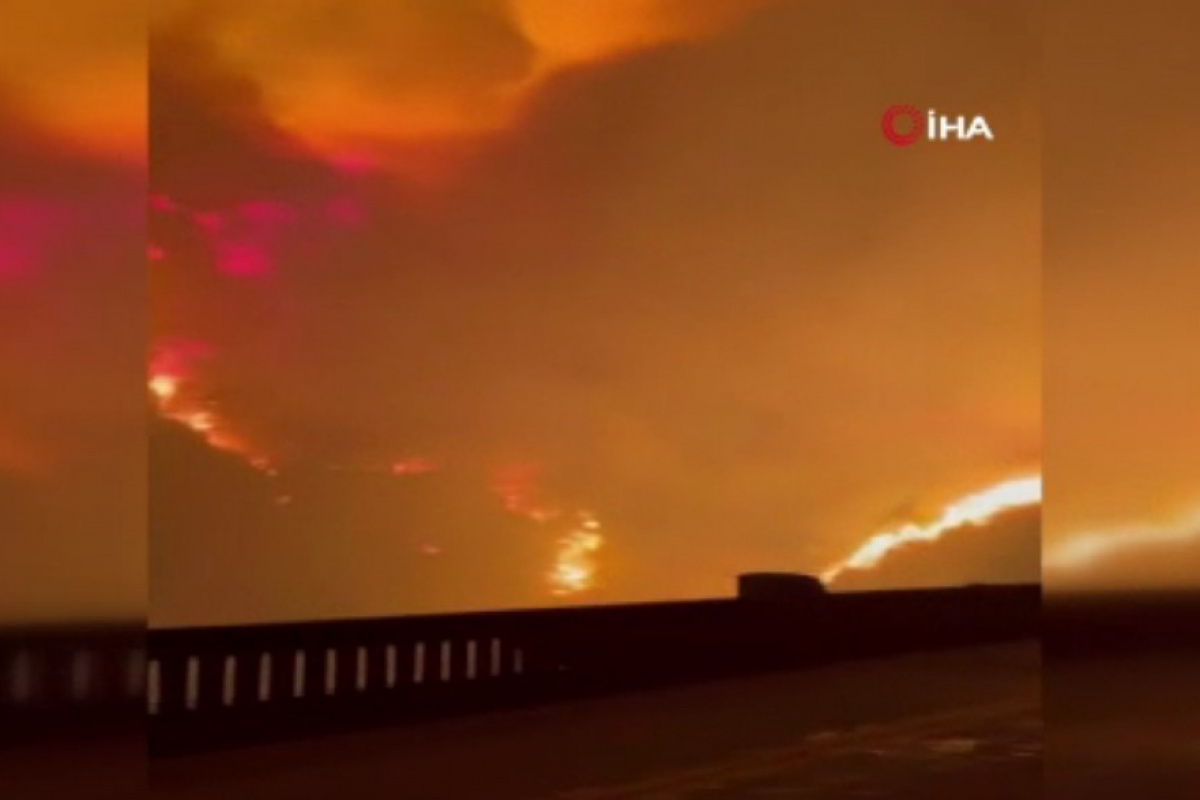 California'da korkutan orman yangını