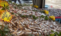 Kar yağdı, balık tezgahları şenlendi