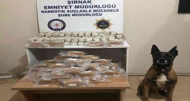 Tırın zulasındaki 52 kilo 639 gram eroini ‘Stark’ buldu