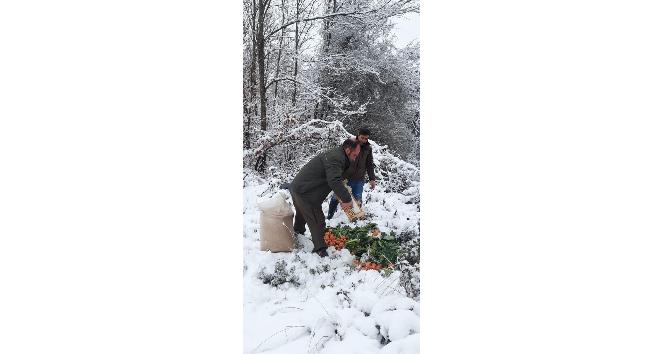 Yalova’da yaban ve av hayvanlarına yem bırakıldı