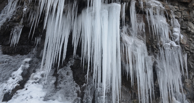 Eksi 20 dereceyi gören Şırnakta dev buz sarkıtları oluştu