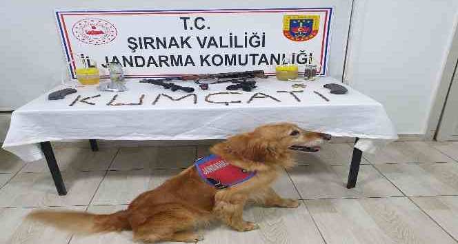 Şırnak’ta kaçakçılık operasyonu: 72 gözaltı