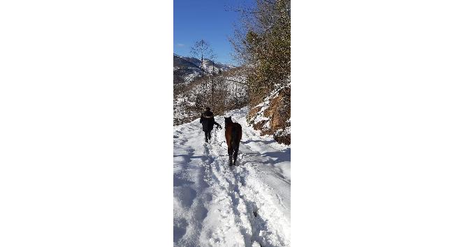 Yılka atlara belediye ve hayvan severler duyarsız kalmadılar