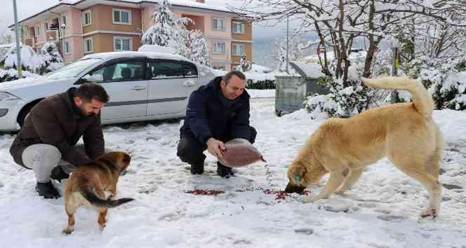 Tutuk, kar sonrası saha çalışmalarını inceledi