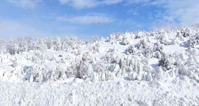 Çekerek’te kar kalınlığı 1 metreye yaklaştı