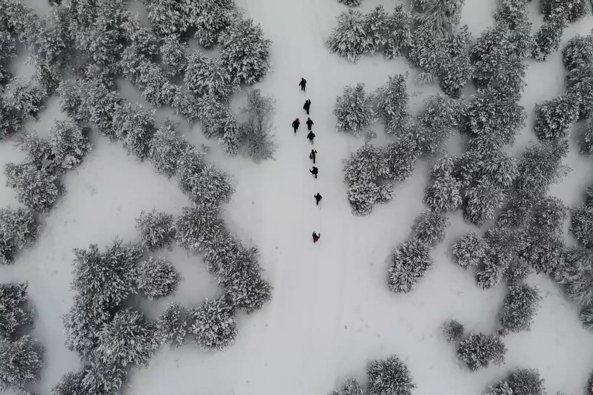 Karla kaplı kent ormanında doğa yürüyüşü