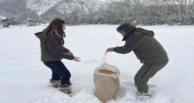 Yalova’da yaban ve av hayvanları için doğaya yem bırakıldı