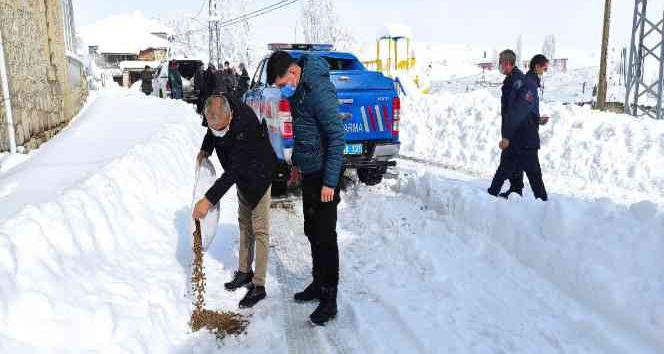 Kaymakam ve Belediye Başkanı sokak hayvanları için doğaya yem bıraktı