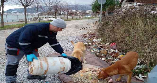 Çınarcık’ta sokak hayvanlarına mama bırakıldı