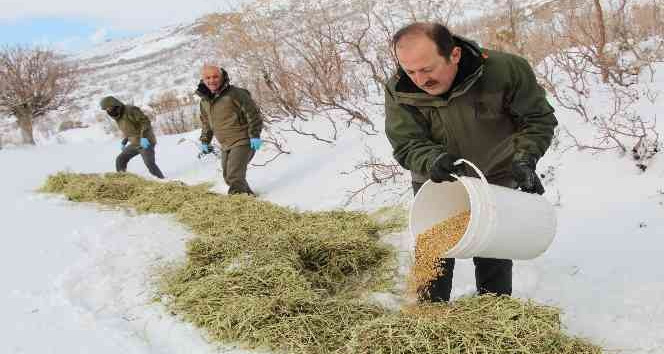 Vali Çırav Dağı’nda yaban hayvanları için doğaya yem bıraktı
