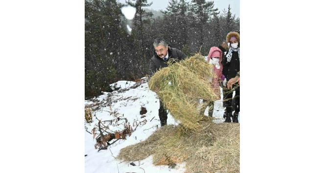 Yoğun kar yağışında yaban hayvanları unutulmadı
