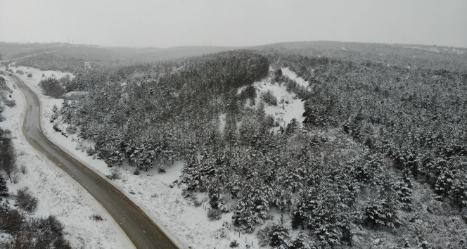 Eskişehir Kent Ormanından doyumsuz kış manzaraları