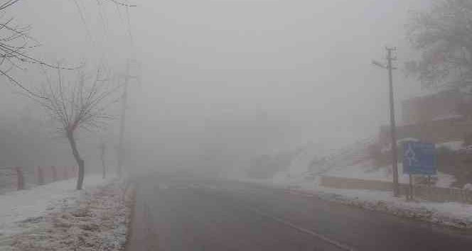 Mardin, yoğun sise teslim