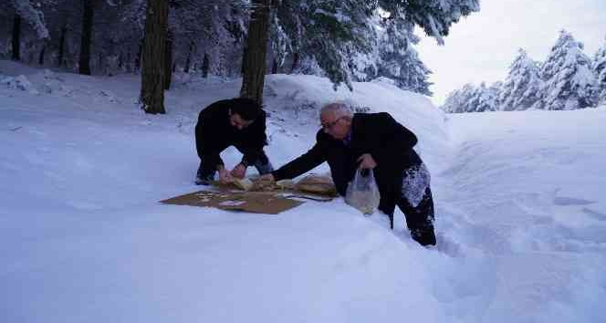 Erbaa’da yaban hayatı için doğaya yiyecek bırakıldı