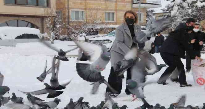Vali Becel, güvercinlere yem bıraktı