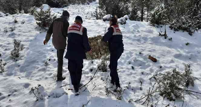 Jandarma yaban hayvanları unutmadı