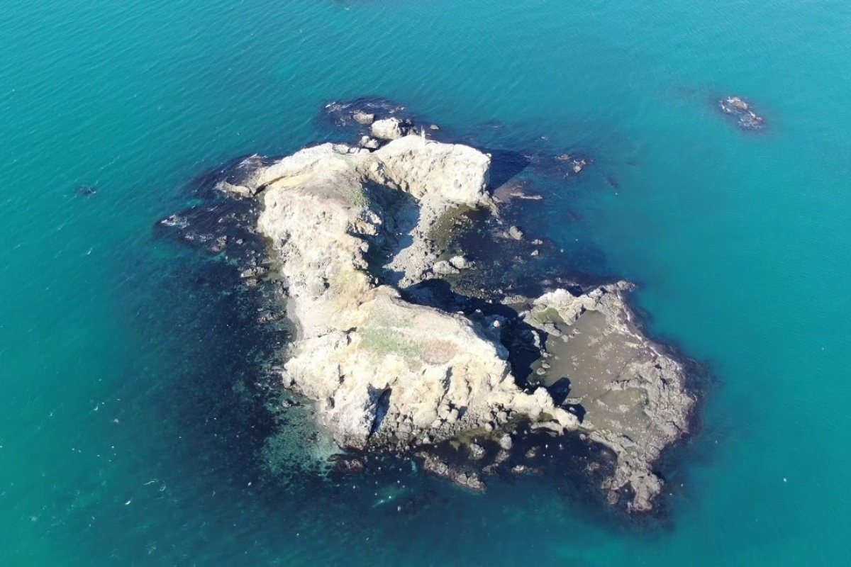 Beykoz'un gizemli adası havadan görüntülendi