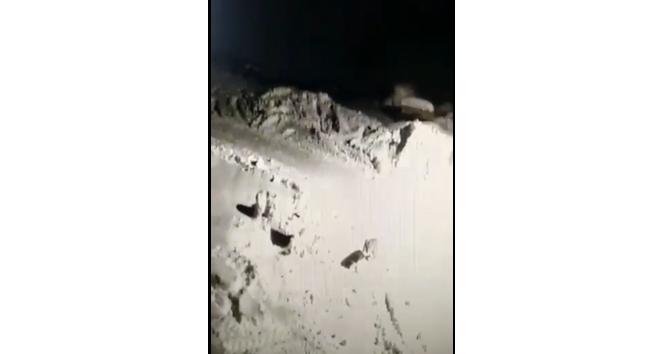 Kurtla köpeklerin kavgasını maç anlatır gibi anlattı
