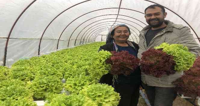 İstanbul’un kalabalığından kaçtı memleketinde topraksız tarıma başladı