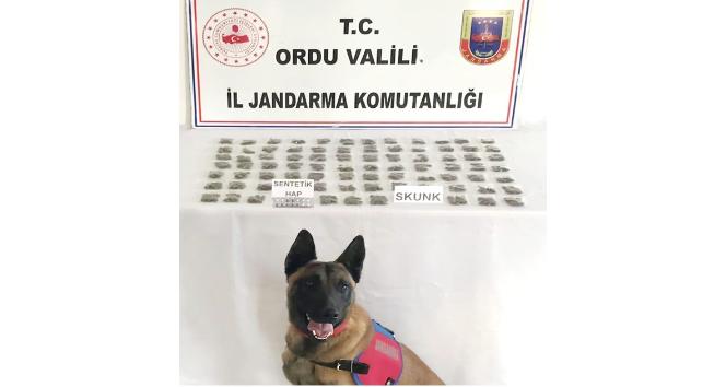 Ordu’da 3 torbacı yakalandı