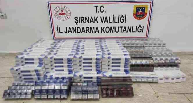 Şırnak’ta çok sayıda uzun namlulu silah ele geçirildi: 87 gözaltı