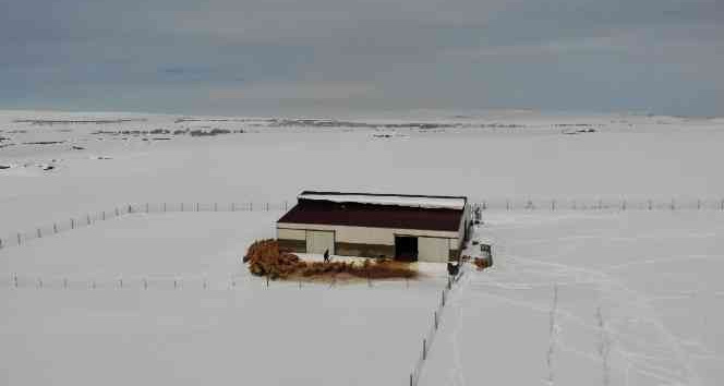 Besicinin 4 günlük esareti bitti