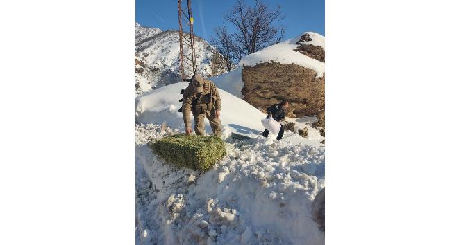Tunceli’de yaban hayvanları için doğaya yem bırakıldı