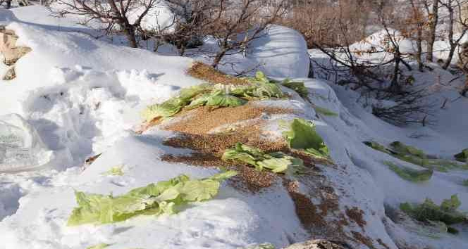 Siirt’te karda yiyecek bulamayan yaban hayvanları için doğaya 350 kilo yem bırakıldı