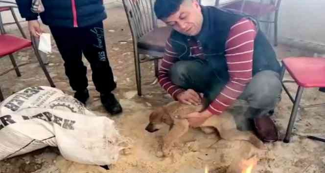 İnsanlık ölmemiş dedirten davranış