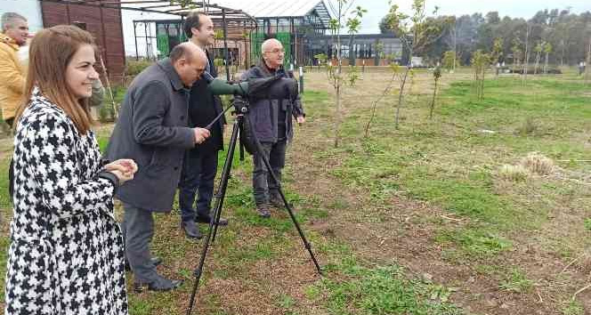 Sulak Alan Gününde Hersek Lagününde 6316 kuş gözlenerek kayıtlara geçirildi