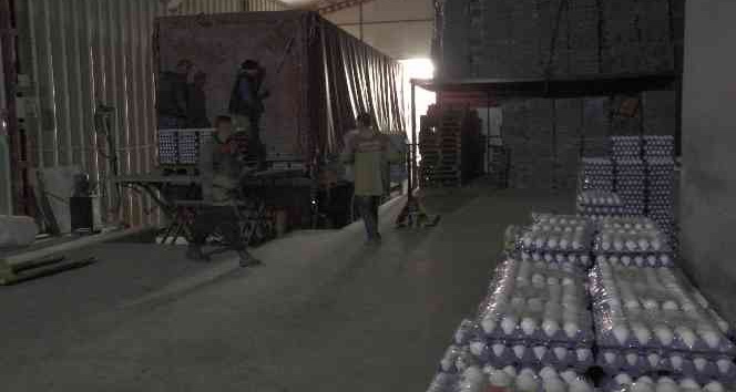 Tavuklara ’halk müziği’ dopingi