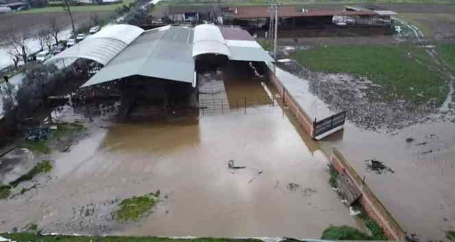 Tire’de yeraltı barajı taştı, tarlalar ve çiftlikler su altında kaldı