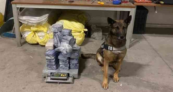 Aracın zulasındaki 31 kilogram eroini ‘Su’ buldu